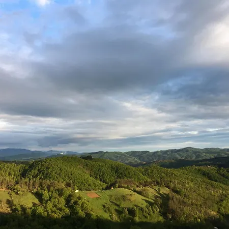 габер