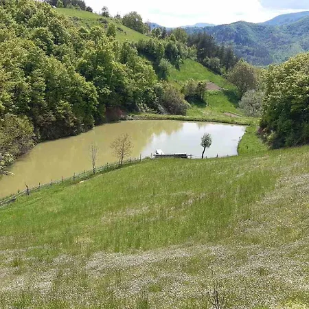габер Zlatograd