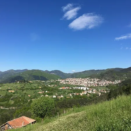 габер * Zlatograd